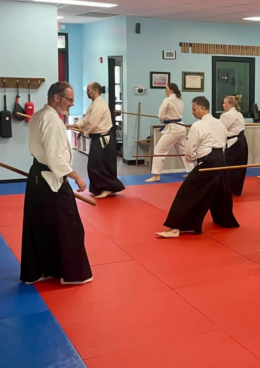 Bokken practice